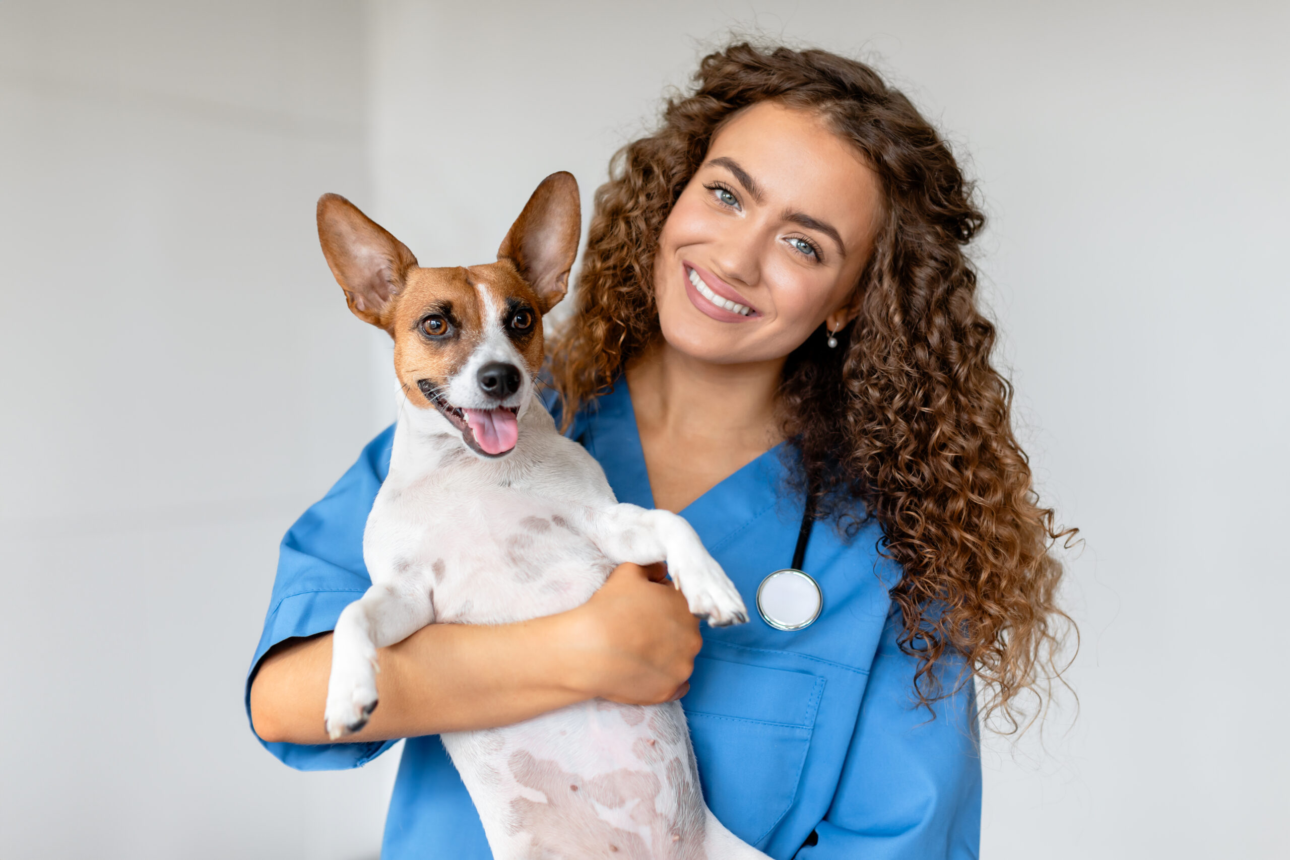 Smiling young woman veterinarian in blue coat holds a terrier, providing compassionate care in modern veterinary clinic setting, smiling at camera